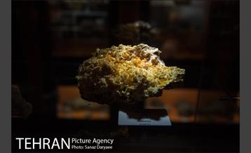 موزه علوم زمین‎ 20