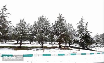 روز برفی در بوستان جنگلی سرخه‌حصار 20