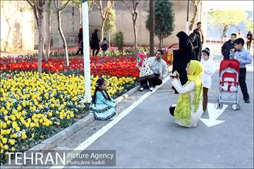جشنواره لاله‌ها در بوستان زندگی محله هرندی 26