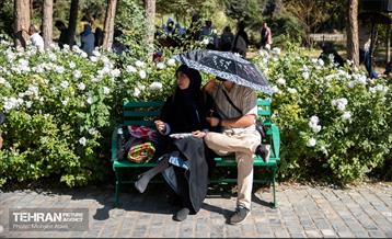 رویداد فرهنگی،هنری «جشن باران» 12