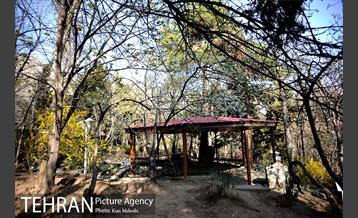 بوستان جمشیدیه (باغ سنگی جمشیدیه) 11