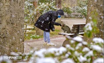 بارش برف زمستانی در منطقه 14