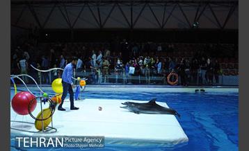 دلفیناریوم برج میلاد 28