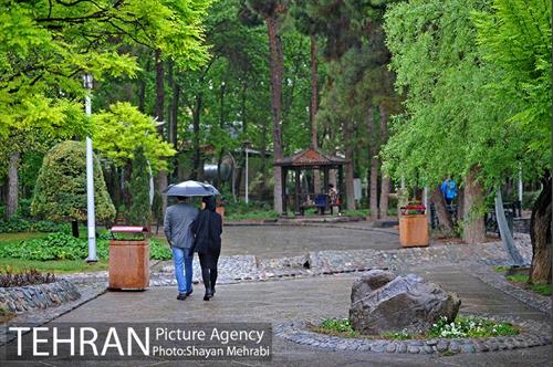 باران بهاری در تهران - 2 13