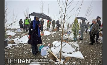 مراسم روز درختکاری با حضور شهردار تهران و رئیس مجلس 31