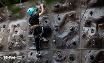 بزرگترین باغ کتاب خاورمیانه 22