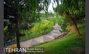 بوستان نهج البلاغه (فاز2) 35