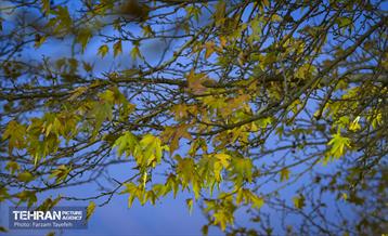 گذرگاه های پاییزی پایتخت - منطقه 5