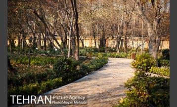 پاییز باغ ایرانی 9
