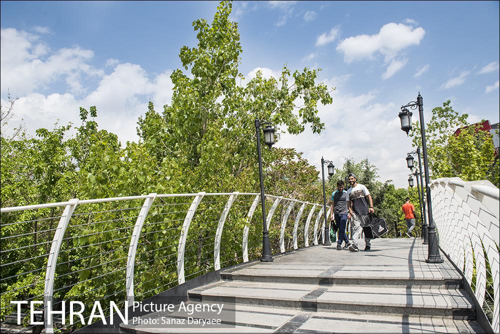 بوستان آزادگان 41