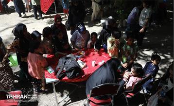 همایش پیاده روی خانوادگی در رود دره فرحزاد 15