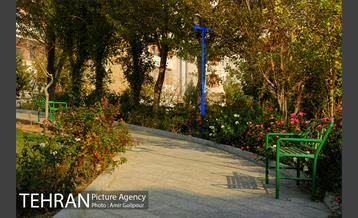 شهرک مسکونی شهید باقری 8