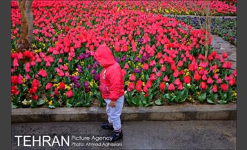 جشنواره لاله‌ها در بوستان زندگی محله هرندی 5