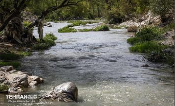 پاکسازی حاشیه رود جاجرود 10