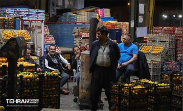 تره‌بار یلدایی 73