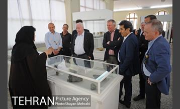 شهردار وین، مهمان تهران 8