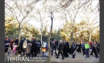 همایش بزرگ پیاده روی خانوادگی شهرداری تهران  8