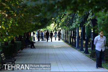 بوستان هنرمندان (ایرانشهر) 23