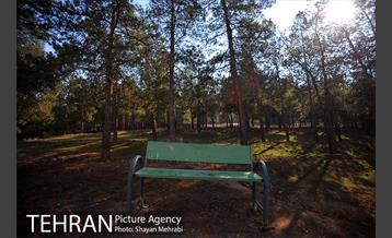 پارک جنگلی سرخه حصار 23