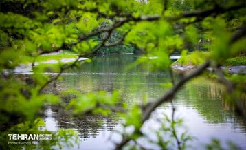 باغ گیاه‌شناسی 45