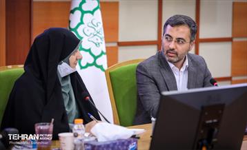 بازدید نرگس معدنی پور از منطقه 17