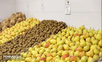 آیین افتتاحیه ۵ بازار میوه و تره‌بار 11