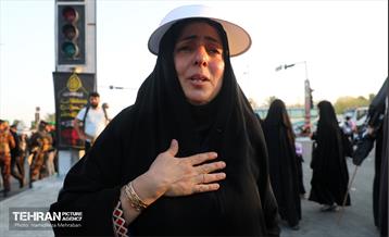 زائران حسینی؛ عمود سلام 14