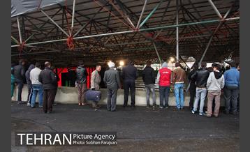 برنامه «گل آمد، بهار آمد» در بوستان زندگی 16