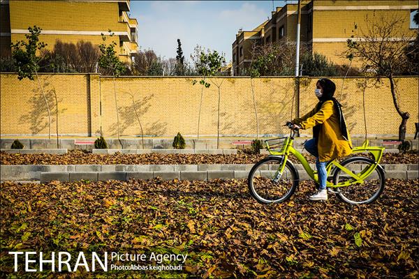 سمفونی برگ های پاییزی  3