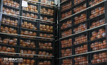 بازدید از سردخانه 4