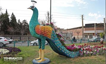 استقبال از بهار - 5 28