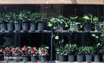 بهره‌برداری از پروژه‌های شرکت ساماندهی صنایع و مشاغل شهر تهران 27