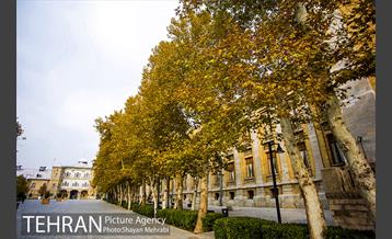 پاییز میدان مشق (سر در باغ ملی) 7