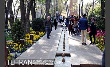 رویش گل های لاله در باغ ایرانی 20