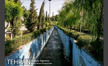 بوستان نهج البلاغه 26