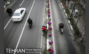 استقبال از بهار در خیابانهای تهران 19
