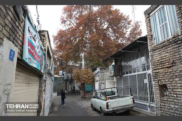 تور گردشگری محله کن 31