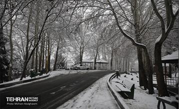 روز برفی تهران - 2 50