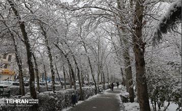 روز برفی در منطقه 8