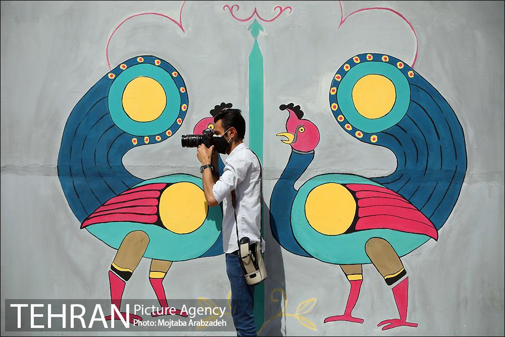 تور عکاسی منطقه 9