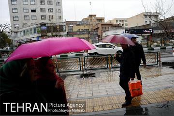 بارش باران بهاری در تهران 17
