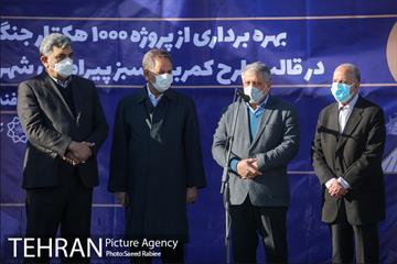 بازدید و افتتاح پروژه جنگل کاری 1000هکتاری در بوستان جنگلی تلو 17