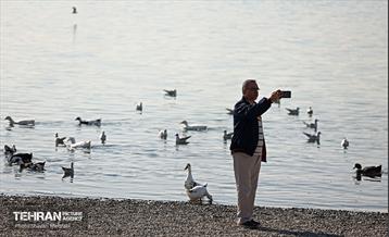 کوچ پرندگان مهاجر به دریاچه شهدای خلیج‌فارس 43