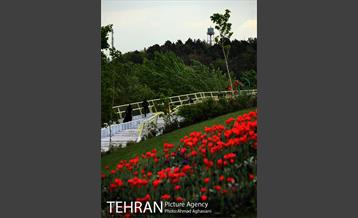 پل جدید بوستان آب و آتش 29