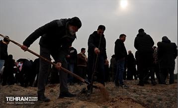 کاشت 2000 نهال مثمر در بوستان جنگلی چیتگر 22