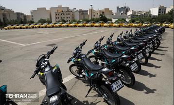 پنجاه‌و‌نهمین پویش امید و افتخار 33