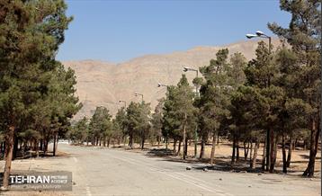 بازدید اصحاب رسانه از روند انجام عملیات احیای چیتگر 64