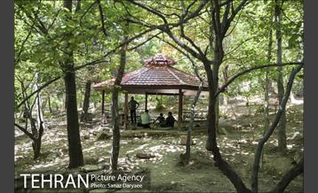 بوستان جمشیدیه‎ 22