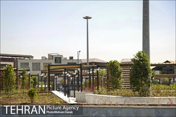 اتمام بازپیرایی میدان محمدیه 14