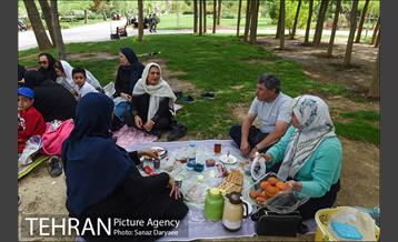 بوستان پلیس 3